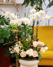 Load image into Gallery viewer, Orchid Galore