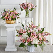 Load image into Gallery viewer, Peace in Blush