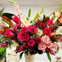 Load image into Gallery viewer, Story of Glory