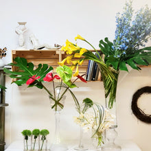 Load image into Gallery viewer, Delphi's Party