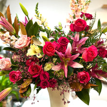 Load image into Gallery viewer, Story of Glory