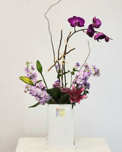 Load image into Gallery viewer, Orchid Galore