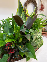Load image into Gallery viewer, Table Garden