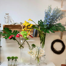 Load image into Gallery viewer, Delphi's Party