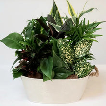 Load image into Gallery viewer, Table Garden