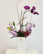 Load image into Gallery viewer, Orchid Galore
