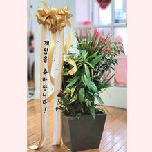 Load image into Gallery viewer, Congratulatory Standing Plants
